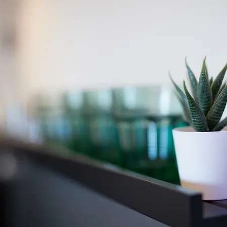New Stylish Studio Apartment